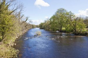 river wharfe ilkley 2012 sm.jpg